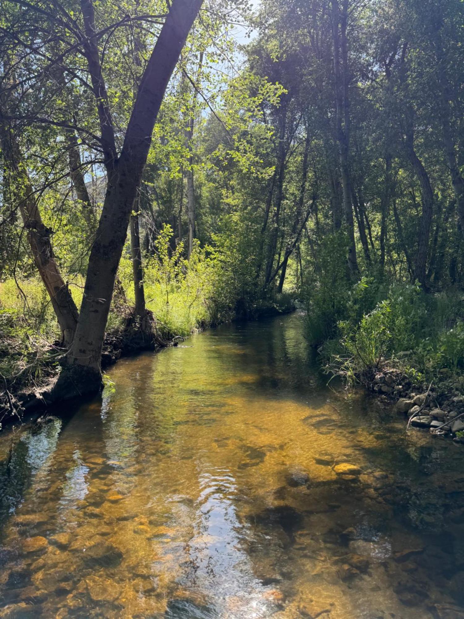 Peppermint Falls Ranch Villa Ponderosa Bagian luar foto